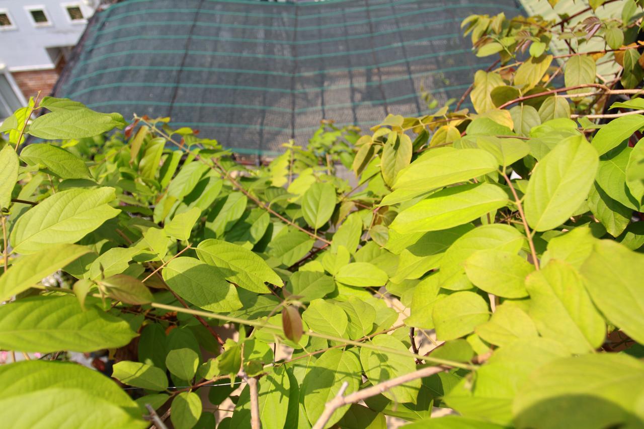 Ngoc Minh Hotel Ho Chi Minh-Byen Eksteriør billede