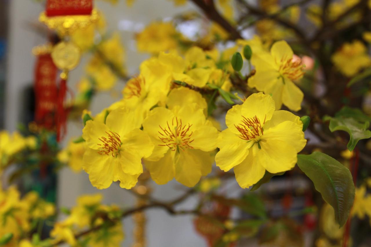 Ngoc Minh Hotel Ho Chi Minh-Byen Eksteriør billede